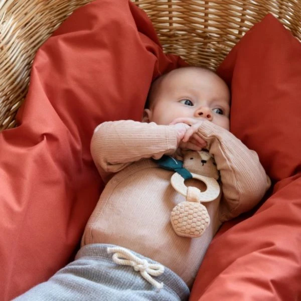 Sebra Milo The Bear Activiteitenrammelaar - Image 3