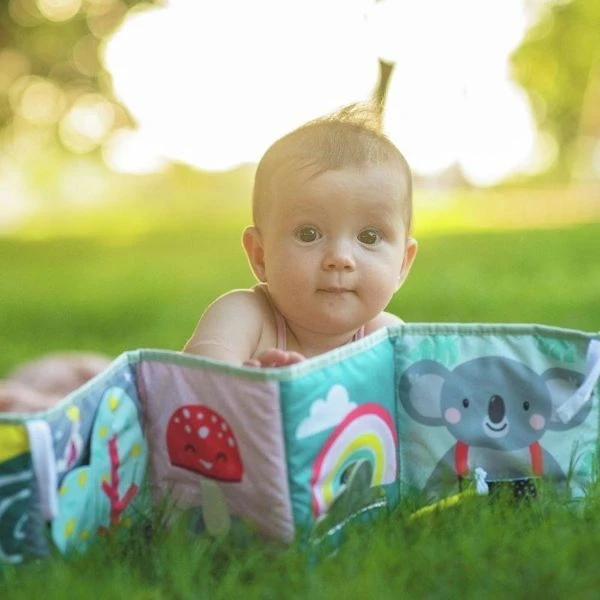 Taf Toys Koala Clip On Pram Boekje - Image 3